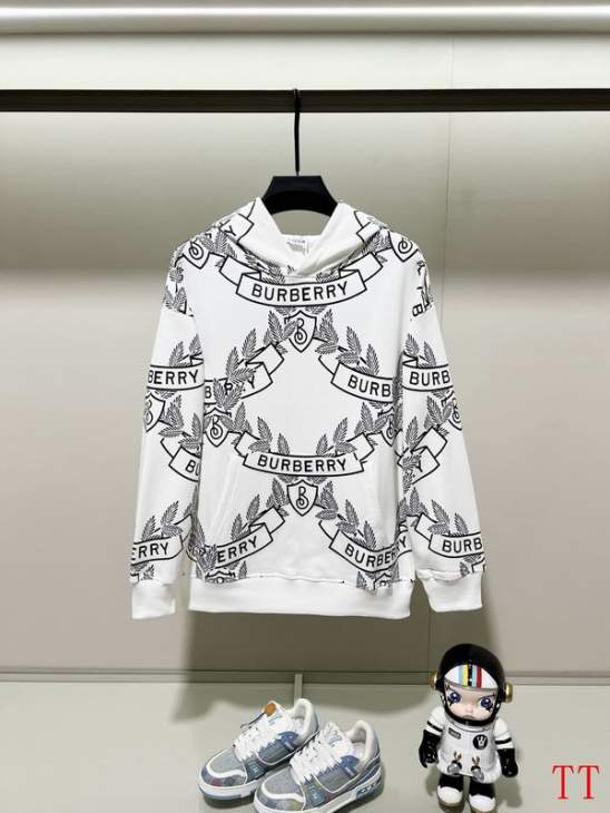 Picture of Burberry Hoodies _SKUBurberryXS-L20tr171885